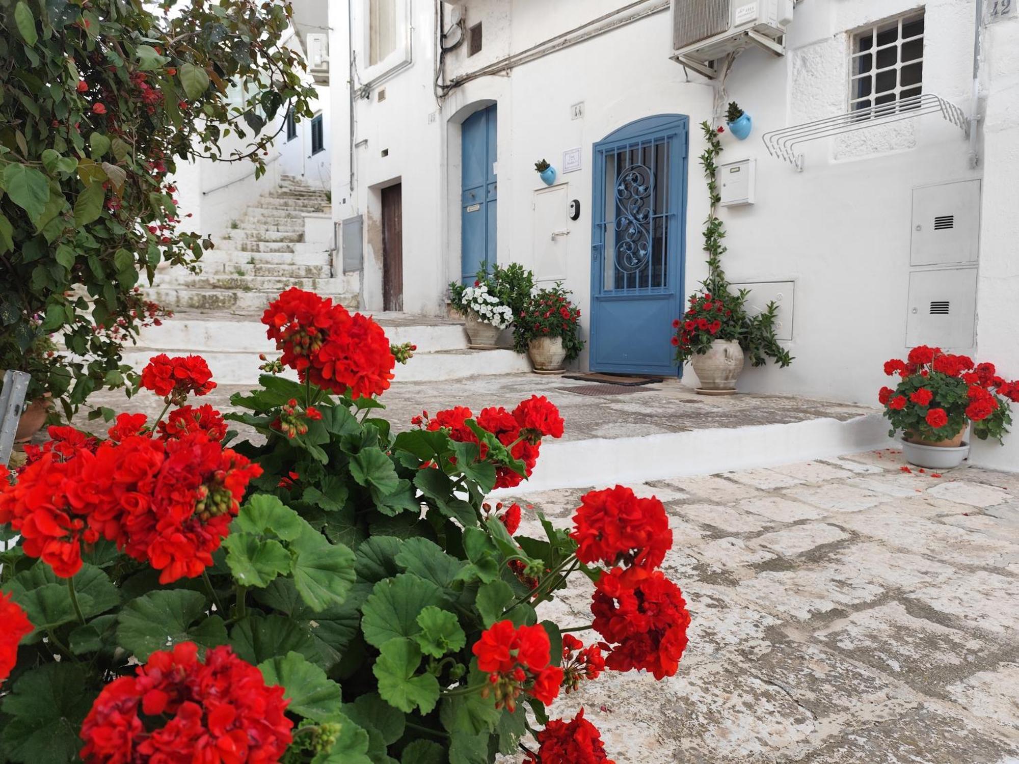 Casa Mirabilis 44 Villa Ostuni Exterior foto