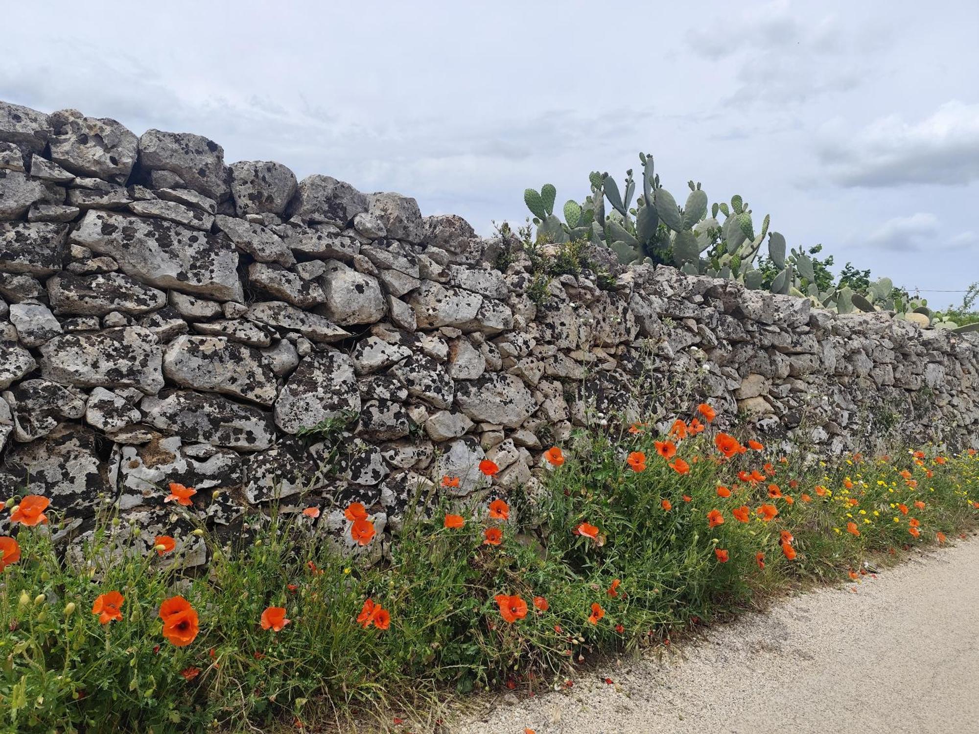 Casa Mirabilis 44 Villa Ostuni Exterior foto